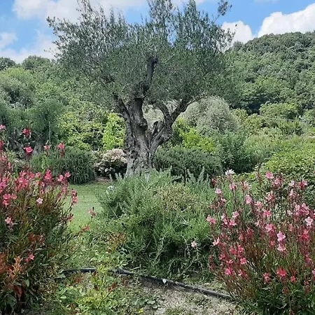 Umbria Perugia Villetta Con Giardino E Piscina - La Casa Di Nelly Дом отдыха Solfagnano Parlesca