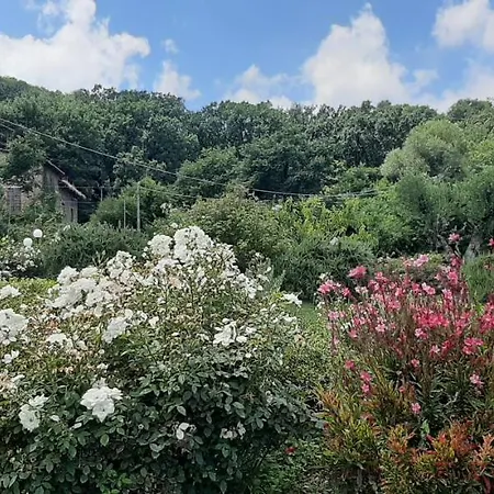Umbria Perugia Villetta Con Giardino E Piscina - La Casa Di Nelly Дом отдыха *