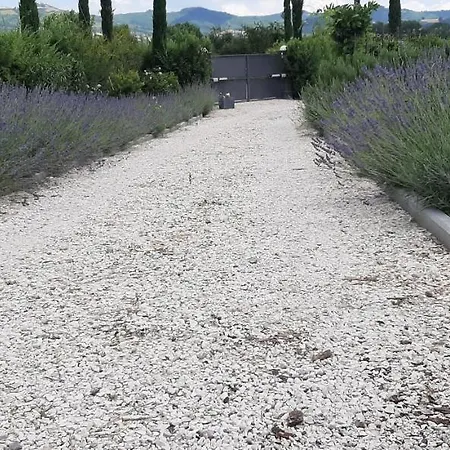 Umbria Perugia Villetta Con Giardino E Piscina - La Casa Di Nelly Дом отдыха Solfagnano Parlesca