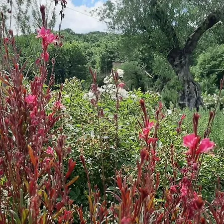 Дом отдыха Umbria Perugia Villetta Con Giardino E Piscina - La Casa Di Nelly *